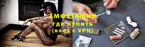 ГАЛЛЮЦИНОГЕННЫЕ ГРИБЫ Инта