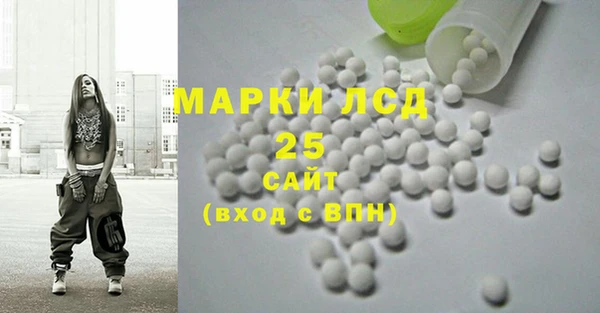 хмурый Инсар