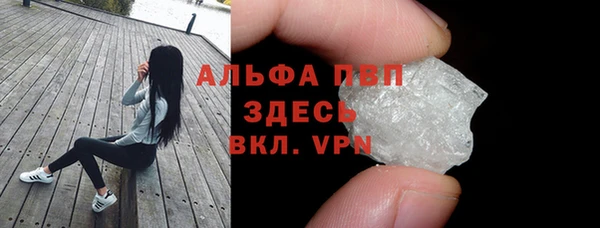 ГАЛЛЮЦИНОГЕННЫЕ ГРИБЫ Инта