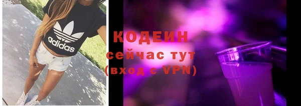 прущая мука Иннополис