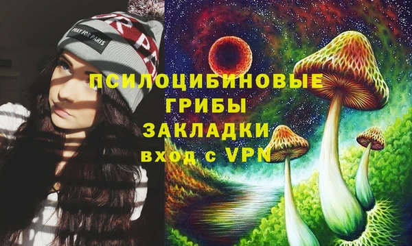ГАЛЛЮЦИНОГЕННЫЕ ГРИБЫ Инта