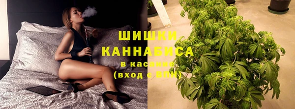 ГАЛЛЮЦИНОГЕННЫЕ ГРИБЫ Инта