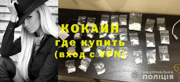 ГАЛЛЮЦИНОГЕННЫЕ ГРИБЫ Инта