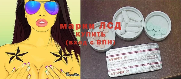 хмурый Инсар