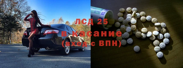 ГАЛЛЮЦИНОГЕННЫЕ ГРИБЫ Инта