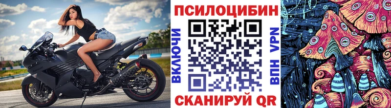 Купить  Белово  Галлюциногенные грибы прущие грибы 